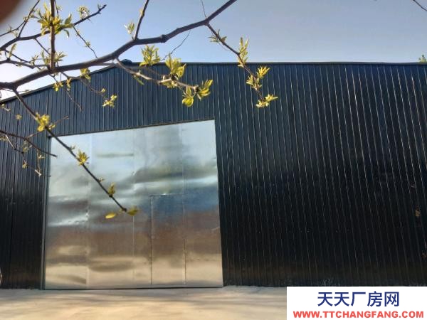 衡水 安平(出租) 新建廠房，370平米左右，可做貨倉，也可做廠房。