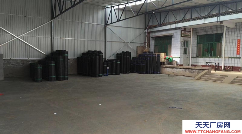 衡水 安平(出租) 出租安平安平城區(qū) 庫房