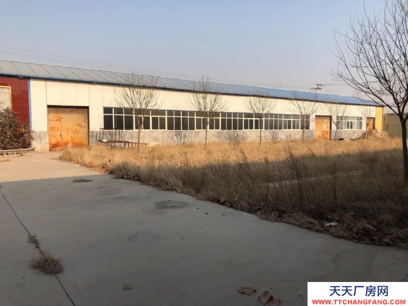衡水 景縣 (發(fā)酵灌制品廠房 出售) 交通便利 水電齊全 工業(yè)用地 有環(huán)評