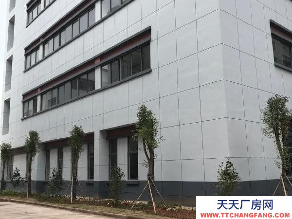 贛州市南康機加工廠房 龍嶺智造谷標準廠房一樓出租