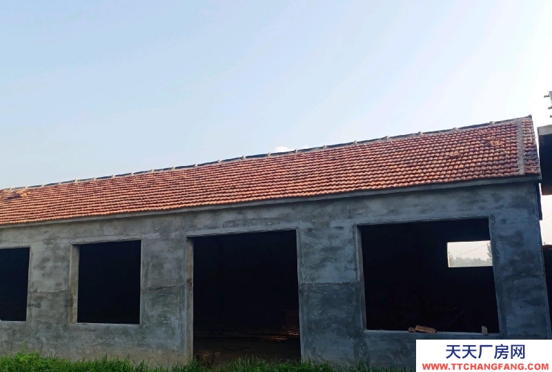 衡水 故城(出租) 獨院，位置佳，靠村路