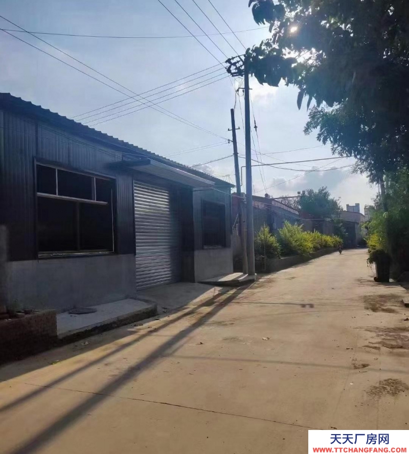 衡水 饒陽(出租) 位置優(yōu)越，交通便利，交通方便