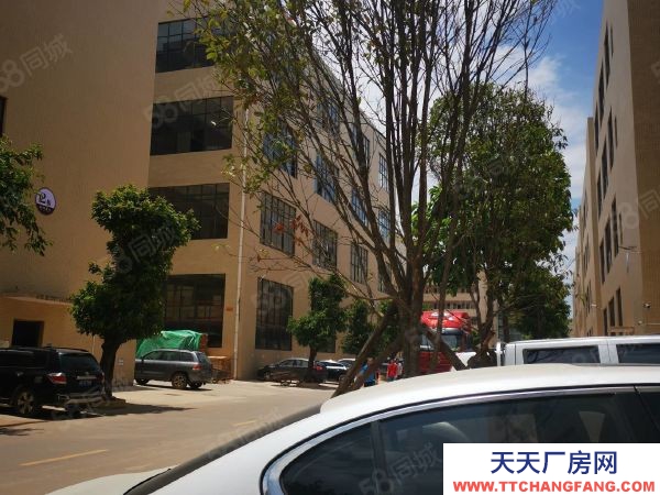 贛州市南康家具廠 南康龍領東標準廠房轉讓