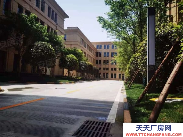 [小微企業(yè)補(bǔ)貼政策]天府新區(qū)重點園區(qū) 530-6700可租售