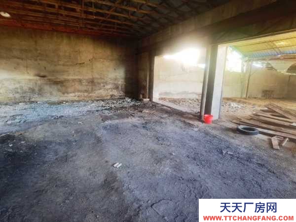 樺南雙果路北側場地出租