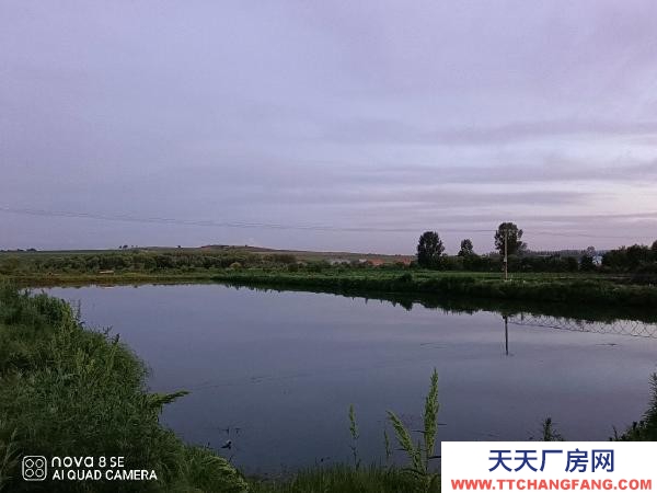 新興大院平房，養(yǎng)豬場(chǎng)，農(nóng)家大院，可主可養(yǎng)殖