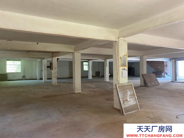 贛州市瑞金家具廠 廠房倉庫出租，沙子崗石井保障房