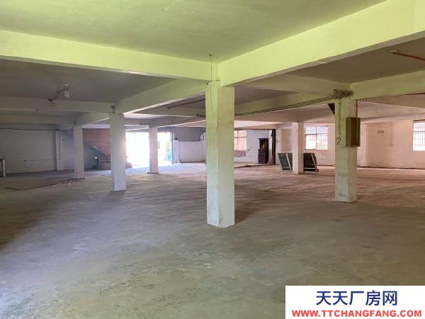贛州市瑞金家具廠 廠房倉庫出租，沙子崗石井保障房