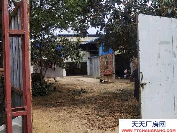 贛州市瑞金機(jī)加工廠房  可做廠房，倉庫，多間工人房