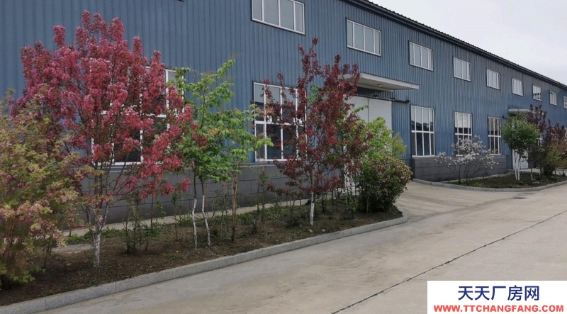 東安3000平米鋼結(jié)構(gòu)，2800平方三層磚混 茶葉廠房