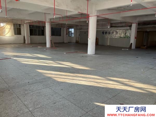 贛州市瑞金電子廠房 廠房可用于 服裝廠 電子廠 培訓中心