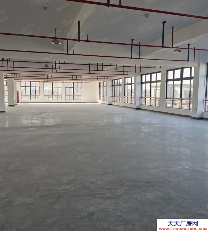 臺州市三門(出租) 三門江口2000平廠房出租，環(huán)境優(yōu)美出入方便，  茶葉及相關制品