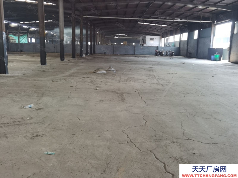 臺州市三門(出租) 出租，三門濱海新城廠房2800平米，獨門獨院  糧食加工品