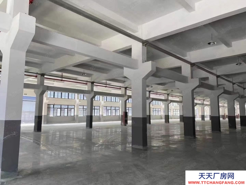 臺(tái)州市三門(出租) 出租三門濱海新城多層廠房14300平方另外可加單層3500平 紡織，服裝