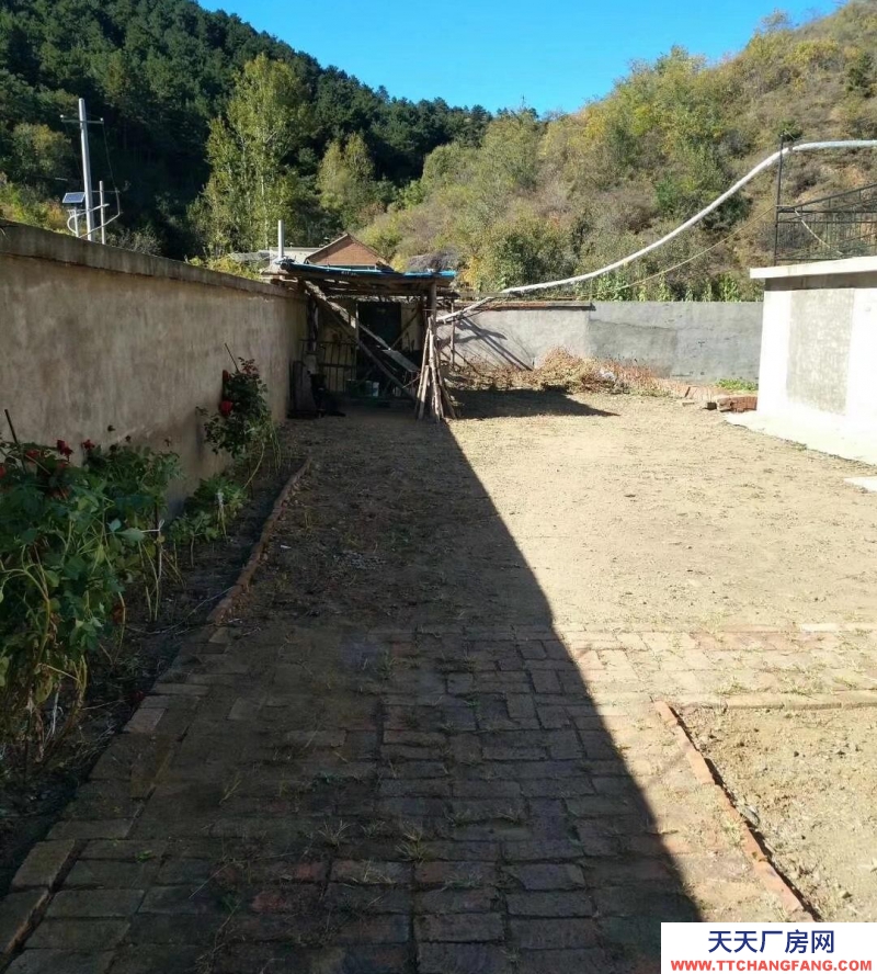 承德 雙橋(出租) 可做茶類飲料廠房，冷庫，農家飯