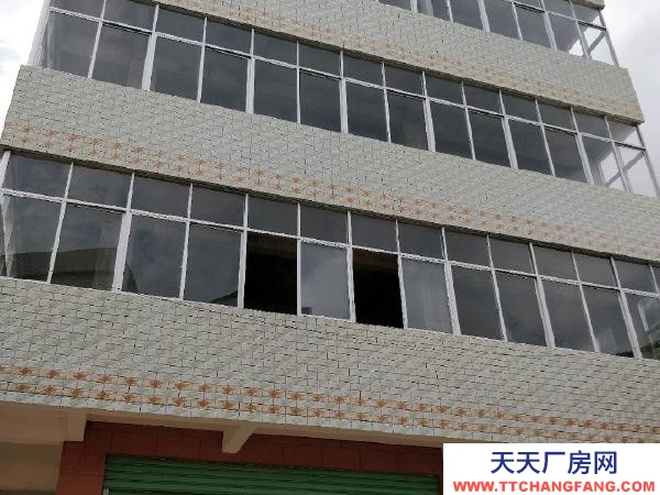 贛州市信豐物資倉庫 國道旁206平米廠房倉庫出租