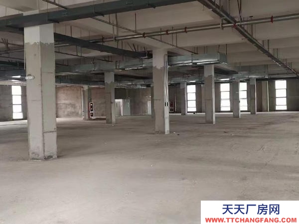 贛州市信豐物資倉庫 出租信豐標準倉庫,廠房適用于電商直播,加工辦工