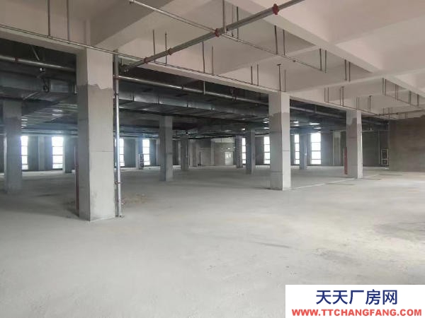 贛州市信豐物資倉庫 出租信豐標準倉庫，廠房適用于電商直播，加工辦工