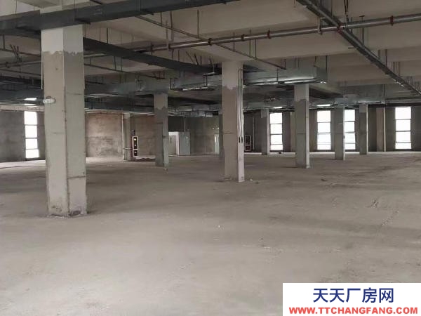 贛州市信豐物資倉(cāng)庫(kù) 出租贛州信豐高標(biāo)準(zhǔn)倉(cāng)庫(kù)廠房適用于電商直播,倉(cāng)儲(chǔ)加工,辦公室