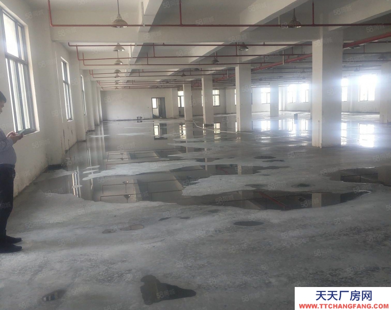 臺(tái)州市三門(出售) 三門三角塘28畝廠房，建筑面積6000平方出售，誠心出售 食糖