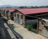 (出租) 出租廣西疊彩大河鄉(xiāng)廠房2000-3000平證件齊全