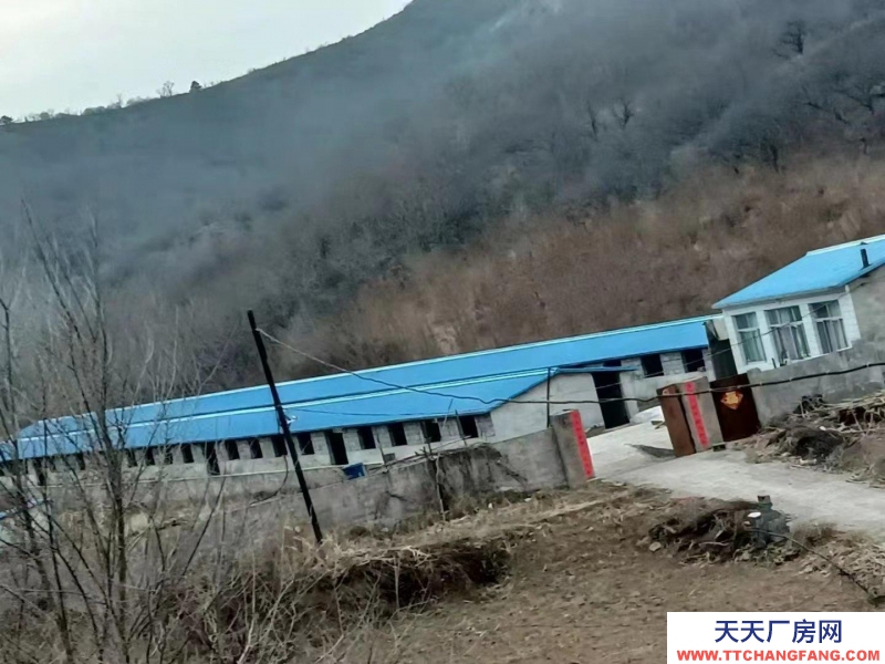 承德 承德縣(出售) 兩排養(yǎng)殖場，一套住房