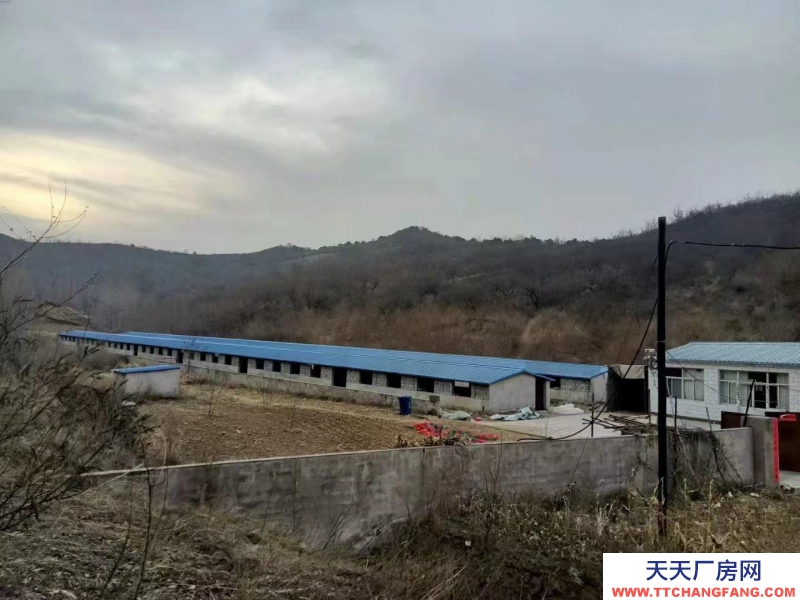 承德 承德縣(出售) 兩排養殖場，一套住房