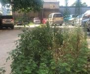 (出租)桂林疊彩 倉庫位于下窯村里，交通便利，水電已通，可以分租，5年一簽