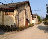 (出租) 桂林疊彩北極廣場附近九華路-各種大小倉庫出租-價格優惠