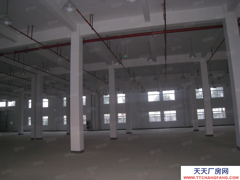 臺(tái)州市天臺(tái)(出租) 標(biāo)準(zhǔn)廠房出租 格林金地工業(yè)園 食用油、油脂及其制品