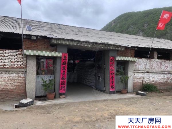 陽明區樺林鎮工農村平房 房照168平 有大院 水井 動力電