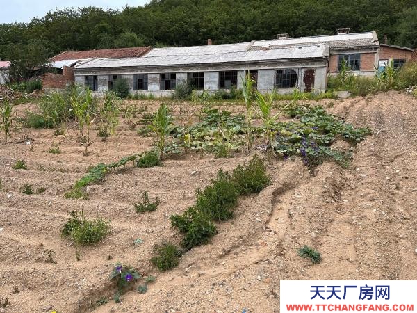 陽明吉房出售 出售房屋 房屋出售 出租房屋 出租農村雞舍豬舍