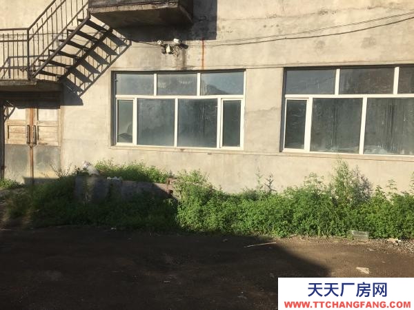 陽明出租庫房可做廠房可做庫房