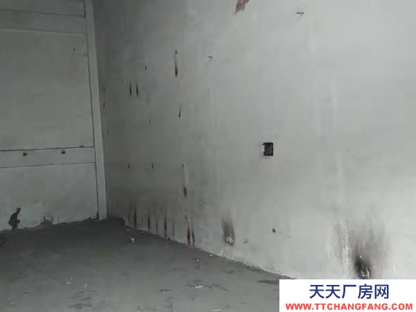 陽明1100平方米倉庫低價出租