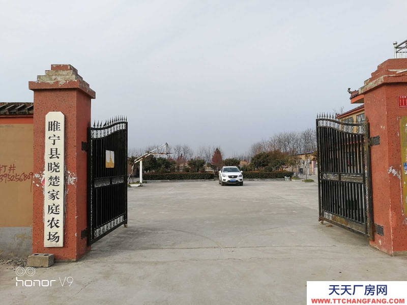 (出租) 徐州睢寧睢城街道吊橋社區梨園豬場適合養殖