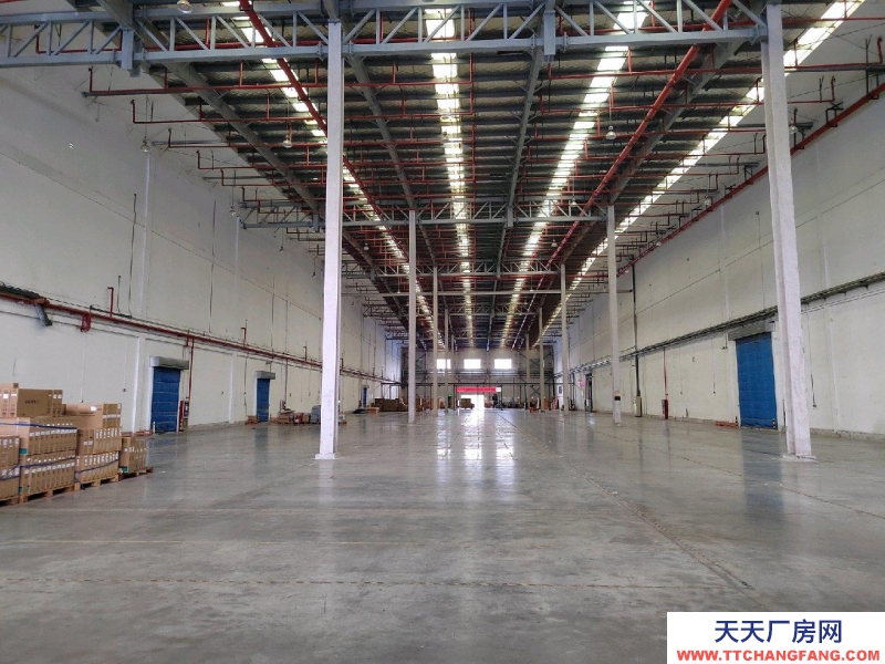 (出租) 徐州云龍區(qū)高標(biāo)庫倉庫火熱招商中,緊鄰大龍湖適合物流倉庫