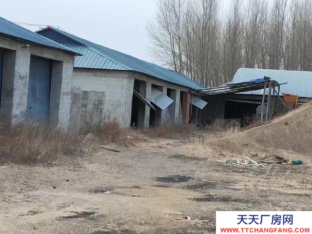 (出售) 阿榮旗出租出售,廠房6棟,住宅一棟,宿舍一棟