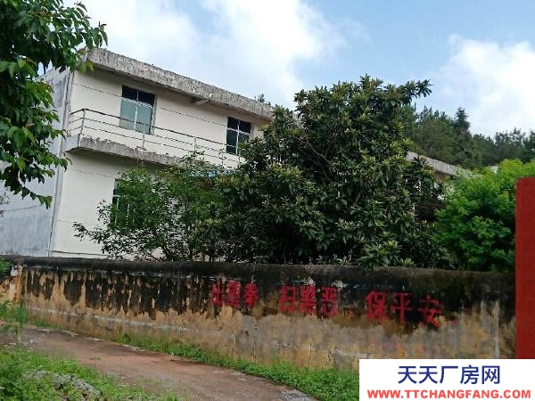 贛州市寧都機加工廠房 寧都石上鎮池布村國道旁 廠房 占地5畝