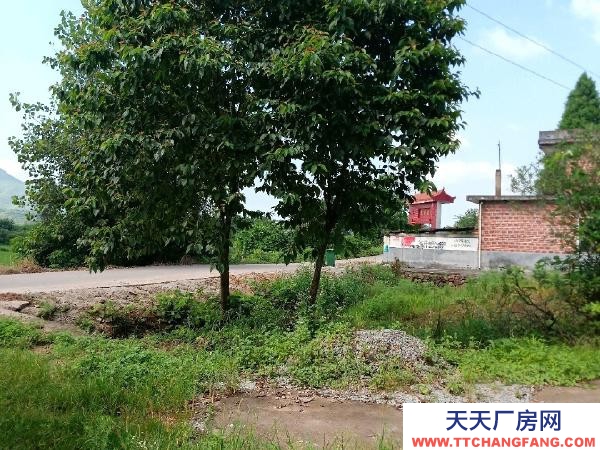 贛州市寧都機加工廠房 寧都石上鎮池布村國道旁 廠房 占地5畝