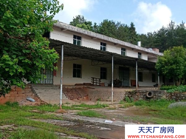 贛州市寧都機加工廠房 寧都石上鎮池布村國道旁 廠房 占地5畝