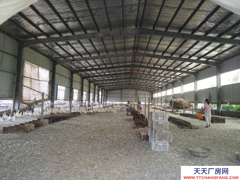 (出租) 徐州銅山棠張五環(huán)附近1600平倉庫廠房出租物流倉庫