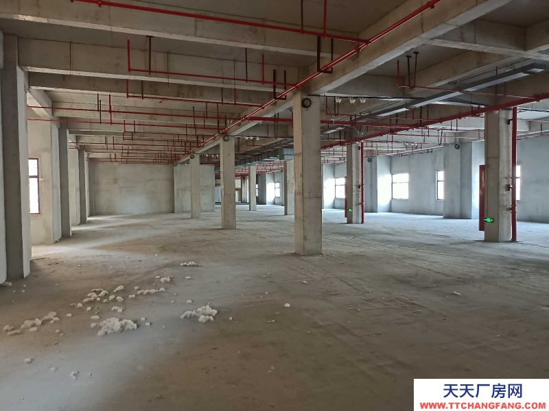 (出租) 徐州銅山大成物流園隔壁倉庫，電商平臺(tái)出租物流倉庫電商倉庫