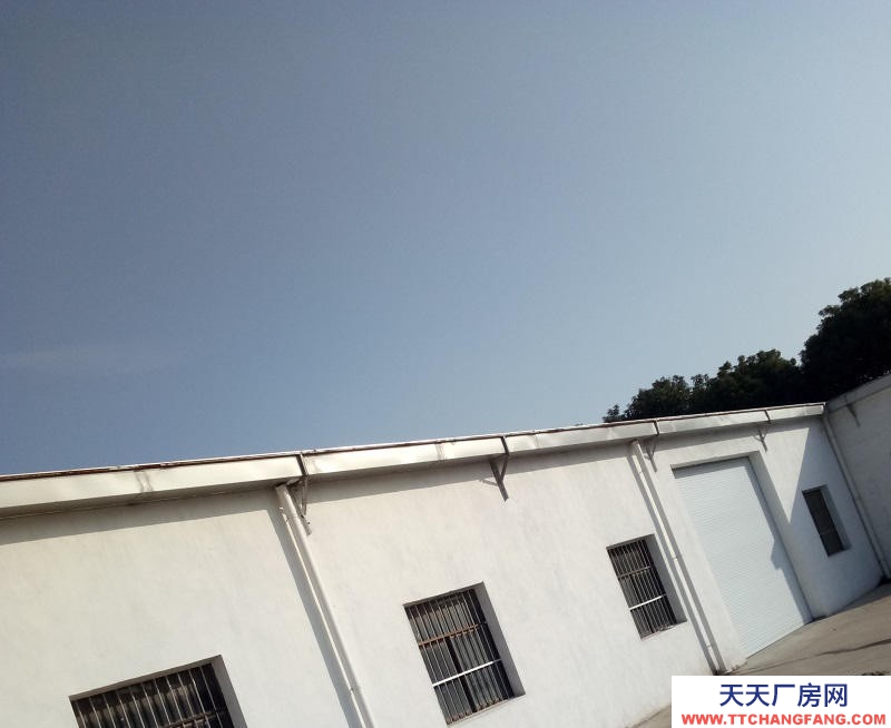 (出租) 徐州睢寧官山鎮(zhèn)吳橋村10畝地農(nóng)村大院子適合養(yǎng)羊養(yǎng)兔倉庫