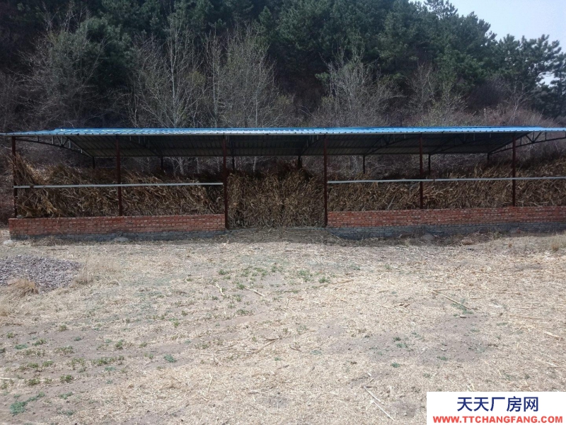 承德 隆化(出租) 湯頭溝鎮小湯頭溝村 養殖場