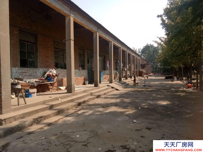 (出租) 徐州新沂27間大教室，原來的學校適合物資倉庫