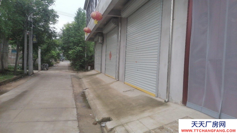 (出租) 徐州邳州250省道邊！地理位置優越電商倉庫