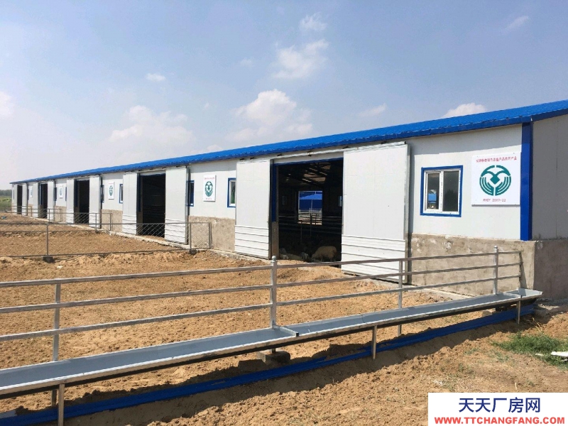 (出租) 巴彥淖爾暖棚圈1500平庫房800平彩鋼棚4500平活動(dòng)場(chǎng)6500平