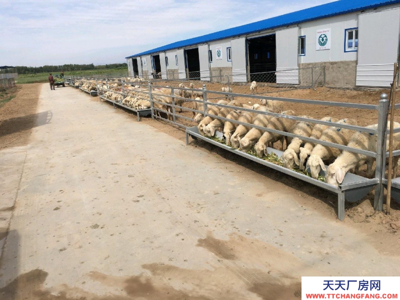 (出租) 巴彥淖爾暖棚圈1500平庫房800平彩鋼棚4500平活動(dòng)場(chǎng)6500平