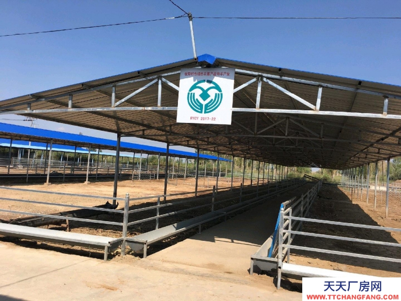 (出租) 巴彥淖爾暖棚圈1500平庫房800平彩鋼棚4500平活動(dòng)場(chǎng)6500平