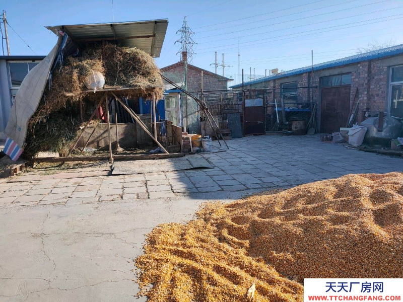 (出租) 巴彥淖爾 糧食食品倉庫 緊鄰站前大道，左鄰右舍南，三間庫房出租